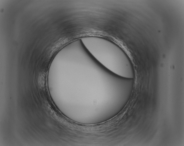 X0000086740010200704130744
