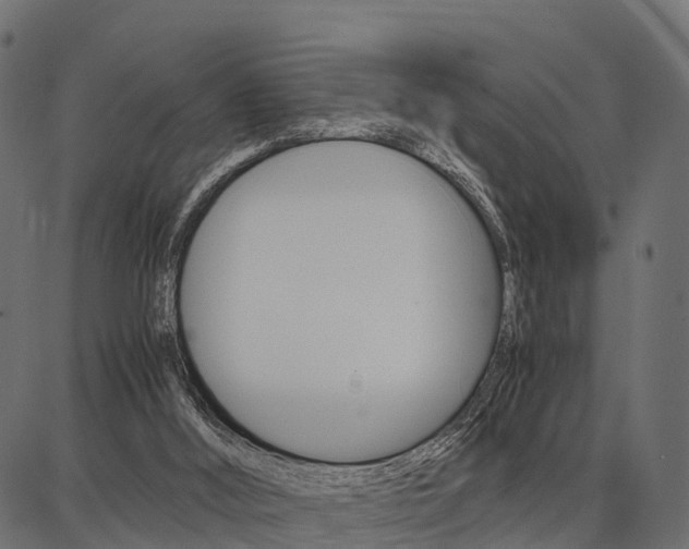 X0000086740012200704130744
