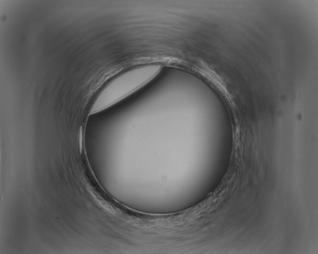X0000086740013200704130744