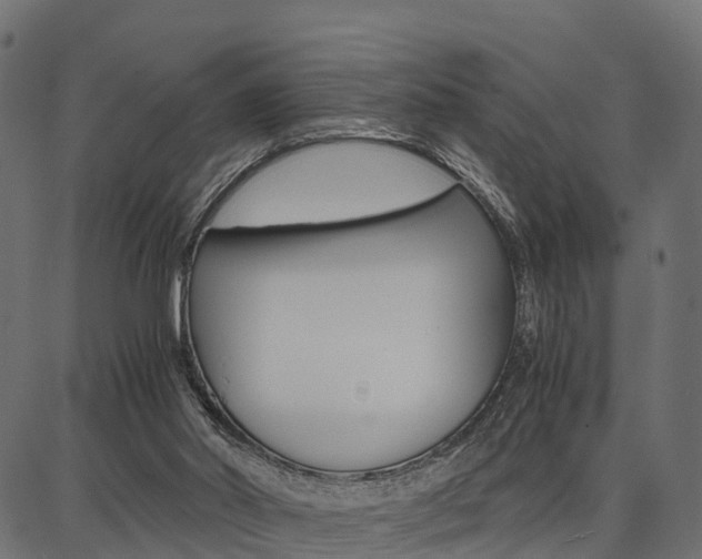 X0000086740014200704130744