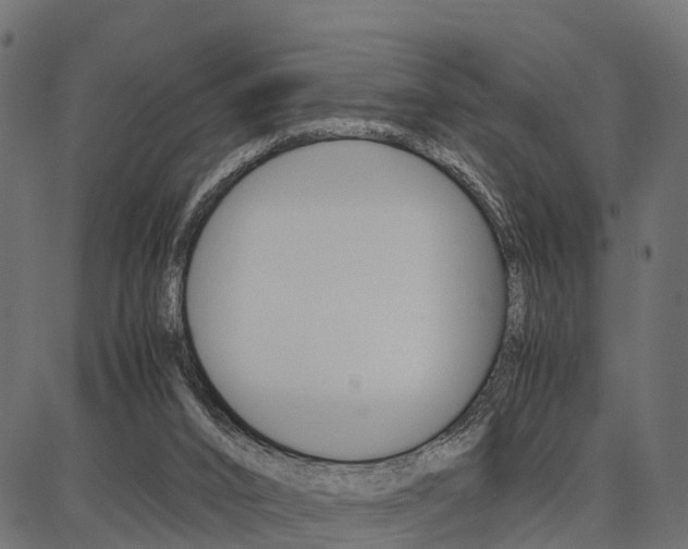 X0000086740016200704130744