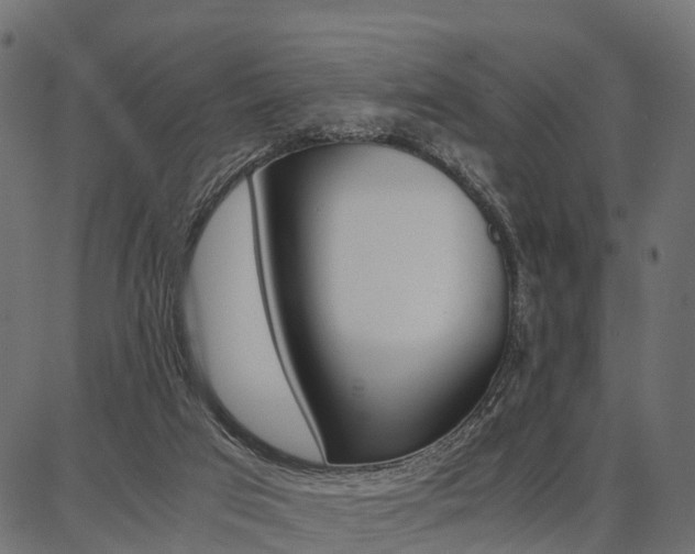 X0000086740017200704130744