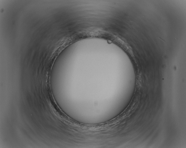 X0000086740018200704130744