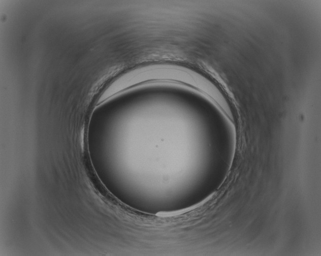 X0000086740019200704130744