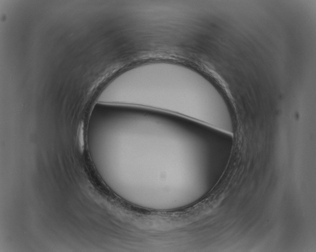 X0000086740020200704130744