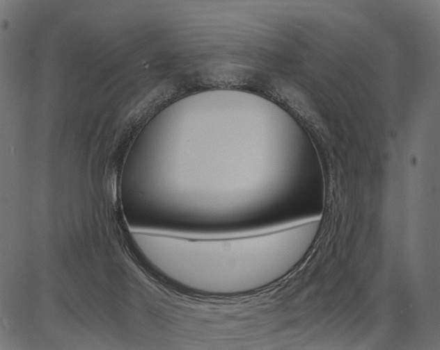 X0000086740021200704130744