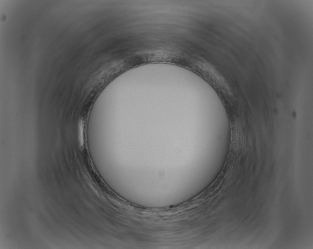 X0000086740022200704130744