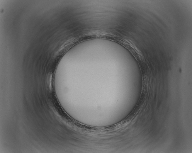 X0000086740024200704130744