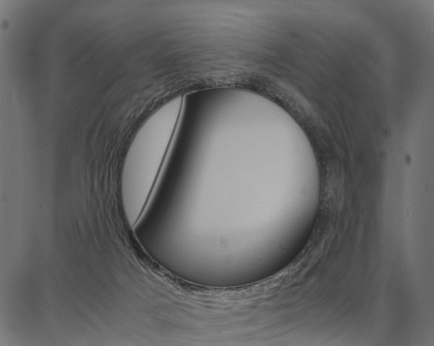 X0000086740025200704130744