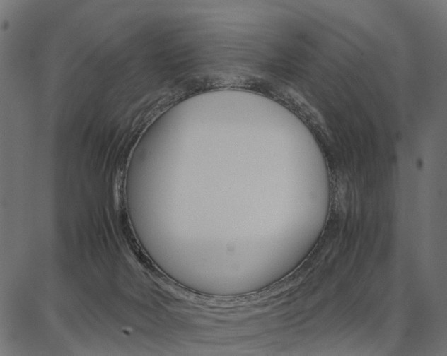 X0000086740026200704130744