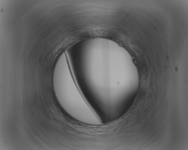 X0000086740027200704130744