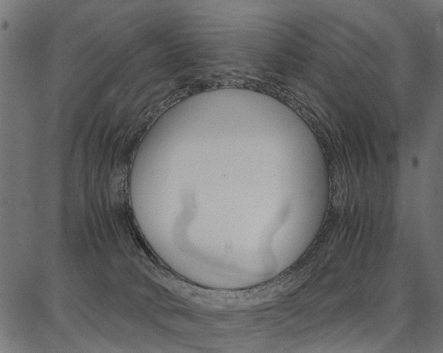 X0000086740034200704130744