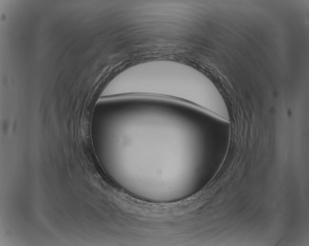 X0000086740035200704130744