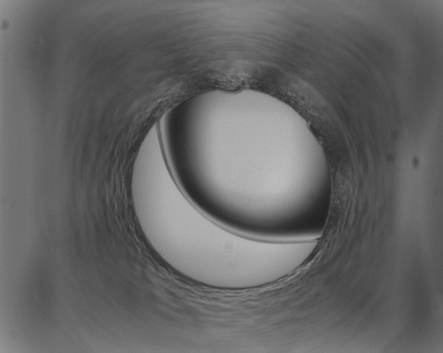 X0000086740037200704130744