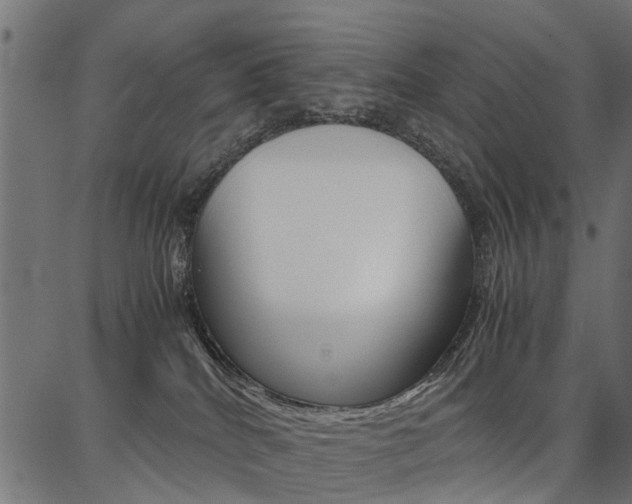X0000086740040200704130744