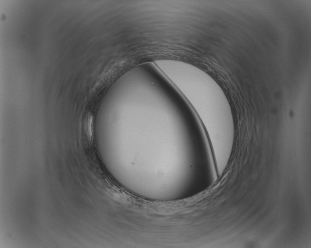 X0000086740041200704130744