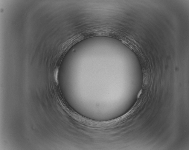 X0000086740047200704130744