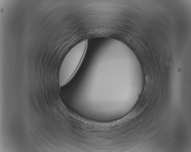 X0000086740048200704130744