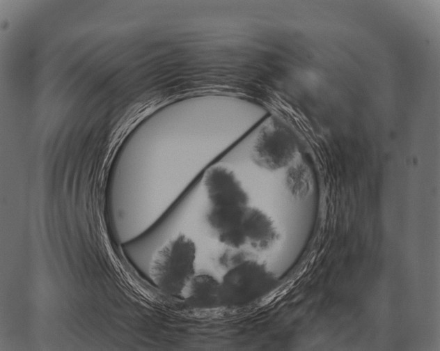 X0000086740049200704130743