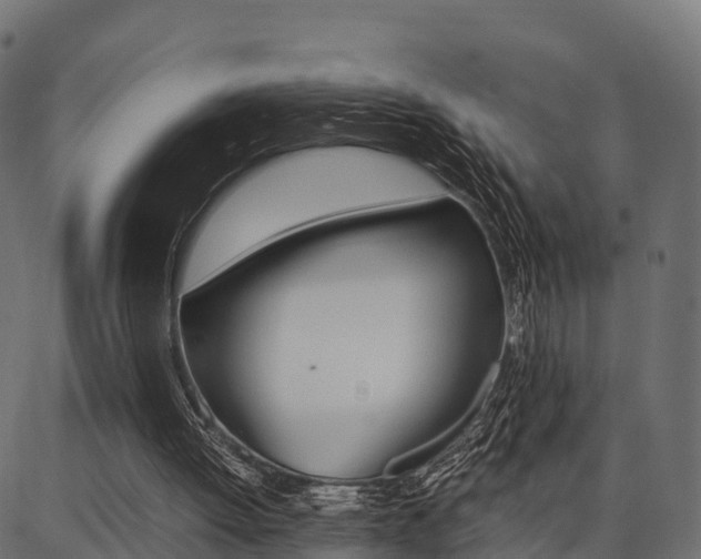 X0000086740052200704130743