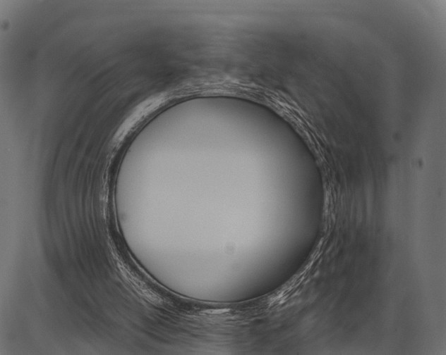 X0000086740054200704130743