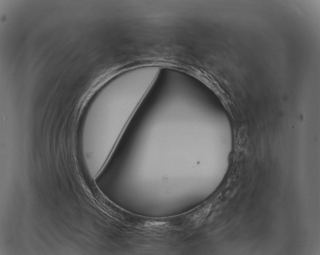 X0000086740055200704130743