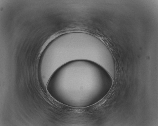 X0000086740056200704130743