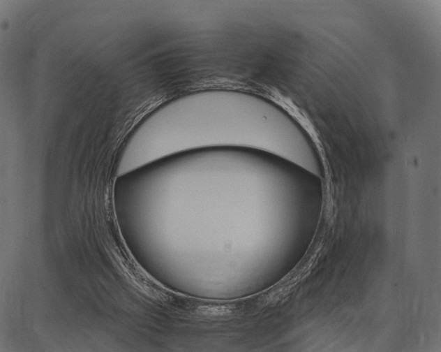 X0000086740057200704130743