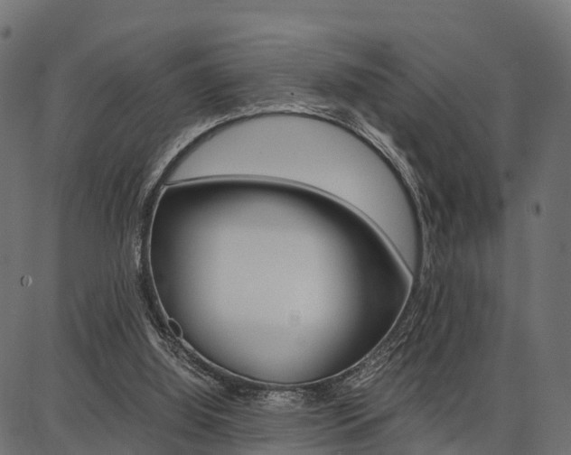 X0000086740060200704130743
