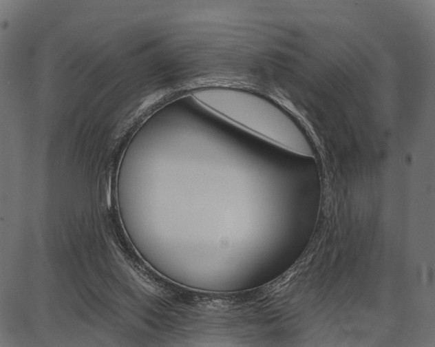 X0000086740062200704130743