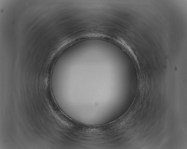 X0000086740063200704130743