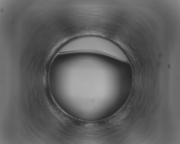 X0000086740064200704130743