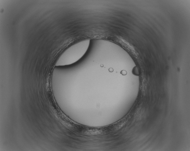 X0000086740065200704130743