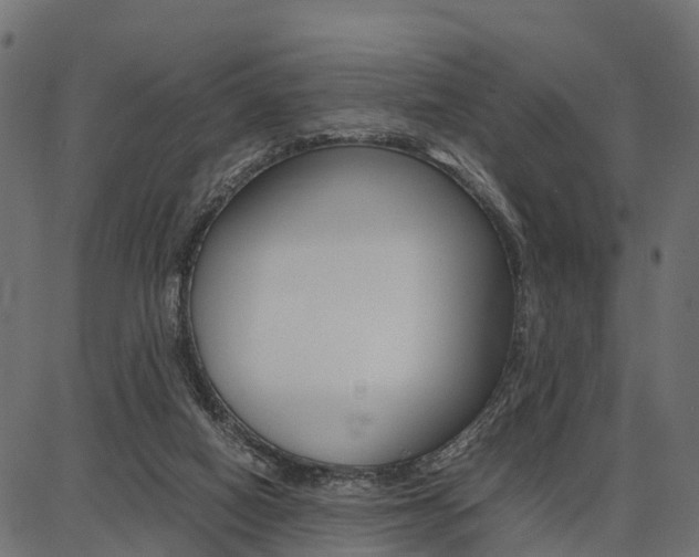 X0000086740066200704130743