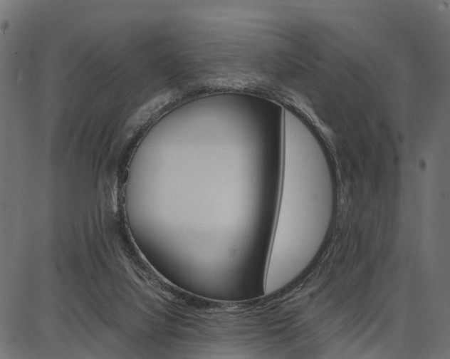 X0000086740068200704130743