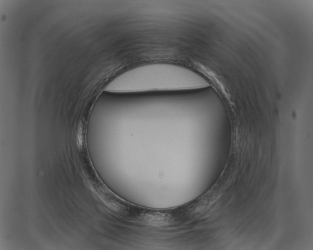 X0000086740069200704130743