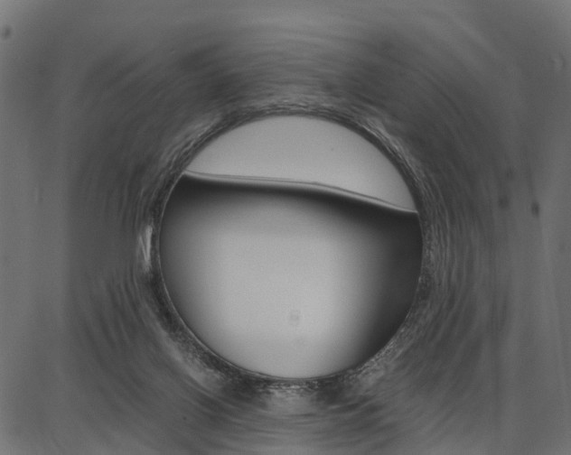 X0000086740070200704130743