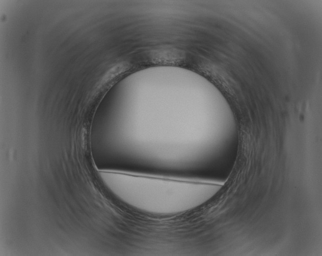 X0000086740071200704130743