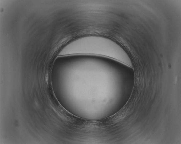 X0000086740072200704130743