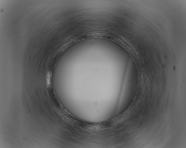 X0000086740075200704130743