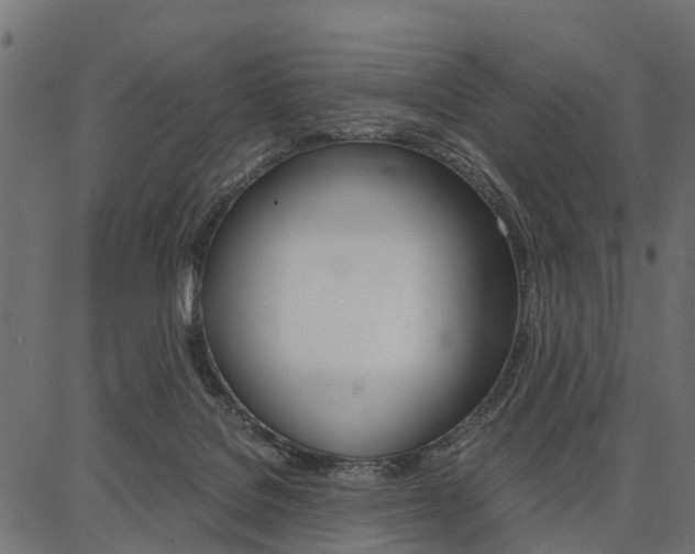 X0000086740076200704130743