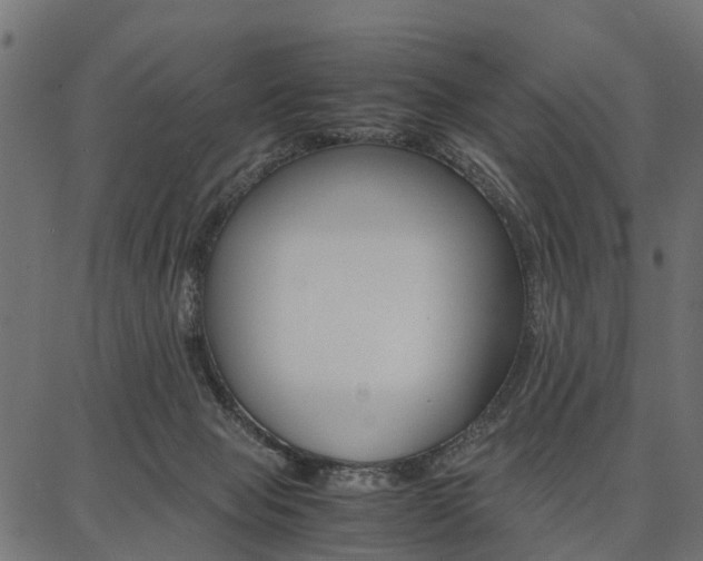 X0000086740077200704130743