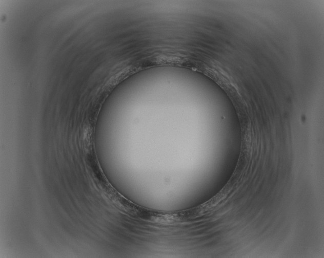 X0000086740079200704130743
