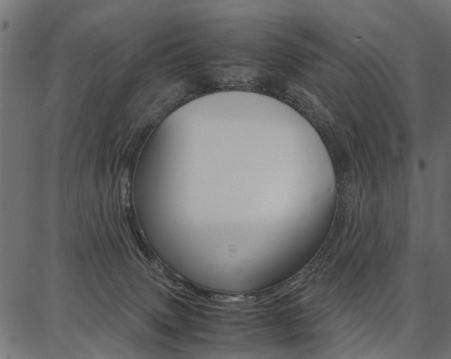 X0000086740083200704130743
