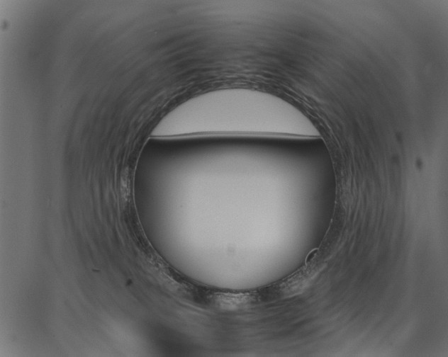 X0000086740085200704130743
