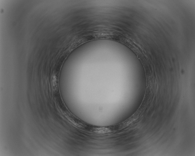 X0000086740087200704130743
