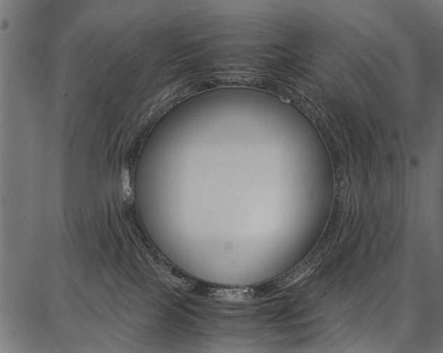 X0000086740089200704130743