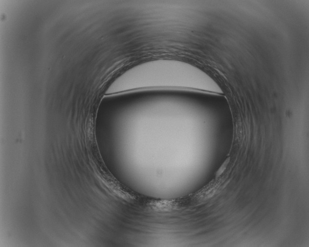 X0000086740092200704130743