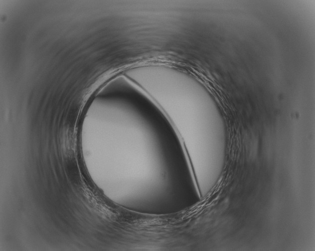 X0000086740100200704130743