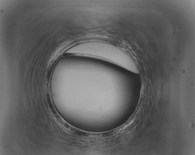 X0000086740101200704130743